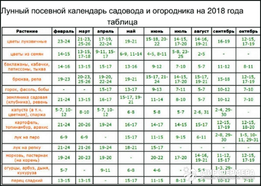 Когда сажать овощи на рассаду - расчет сроков по формуле 37 Когда сажать овощи на рассаду - расчет сроков по формуле 89