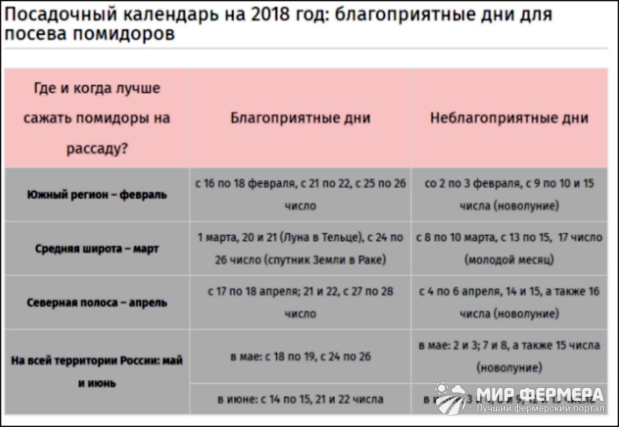 Посадка рассады помидоров в 2018 году