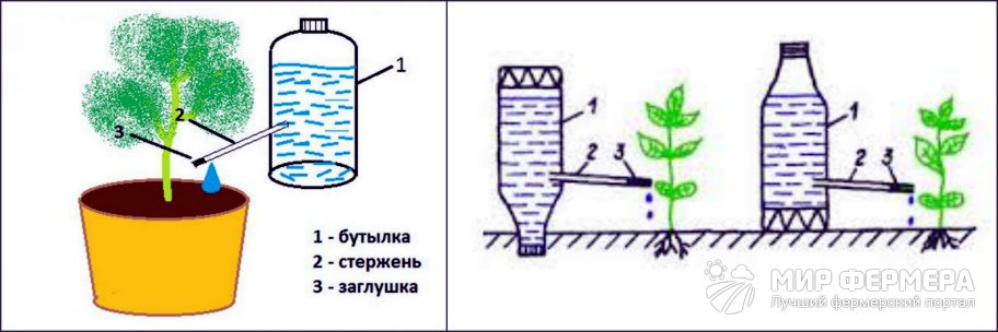 Капельный полив из бутылки и стержня