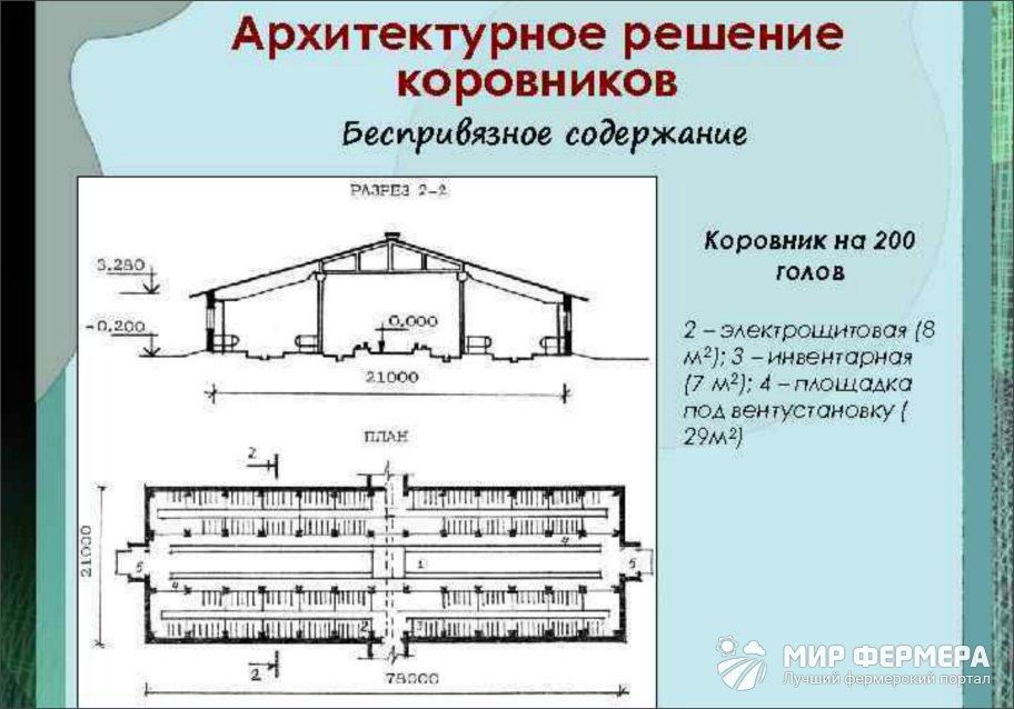 Проект коровника на 200 голов