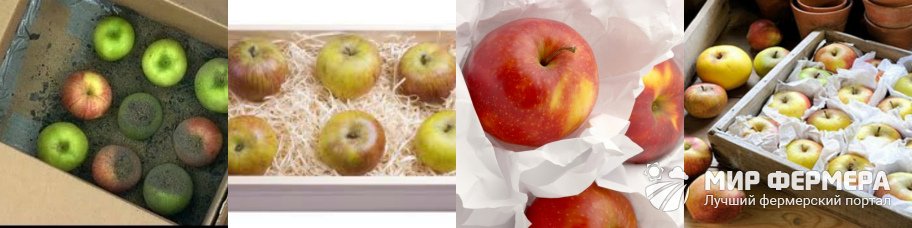 Чем пересыпать яблоки, чтобы дольше хранились