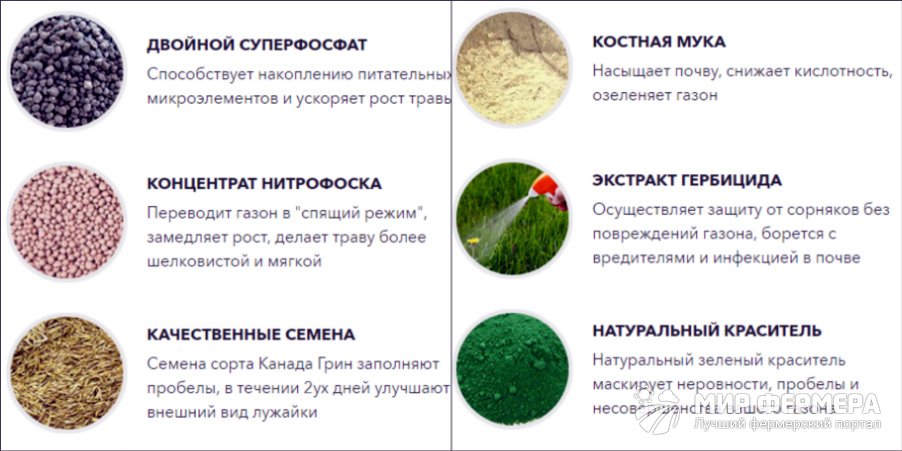 Жидкий газон АкваГразз состав