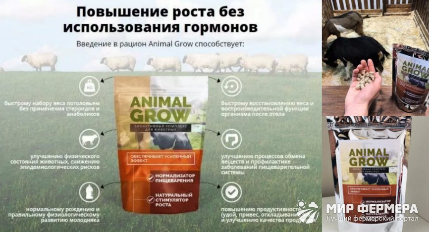 Animal Grow польза и вред