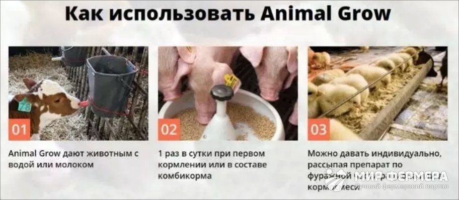 Animal Grow инструкция