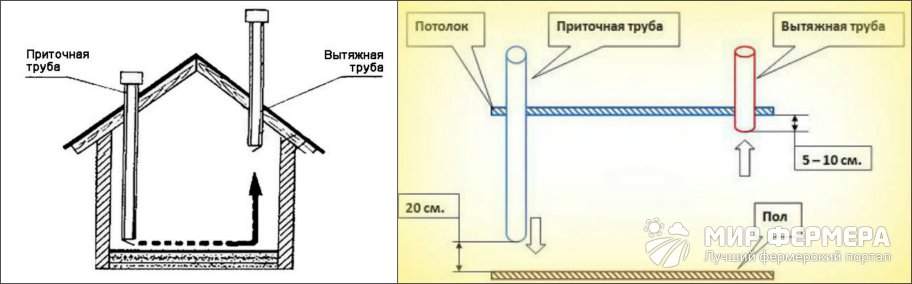 Вентиляция в курятнике