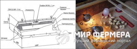 Самостоятельно изготавливаем брудер для цыплят