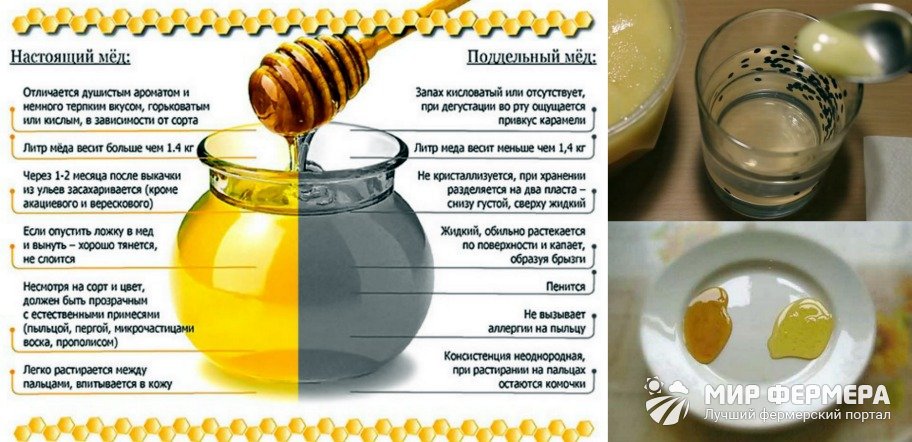 Как проверить мед водой