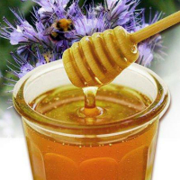 Фацелиевый мед