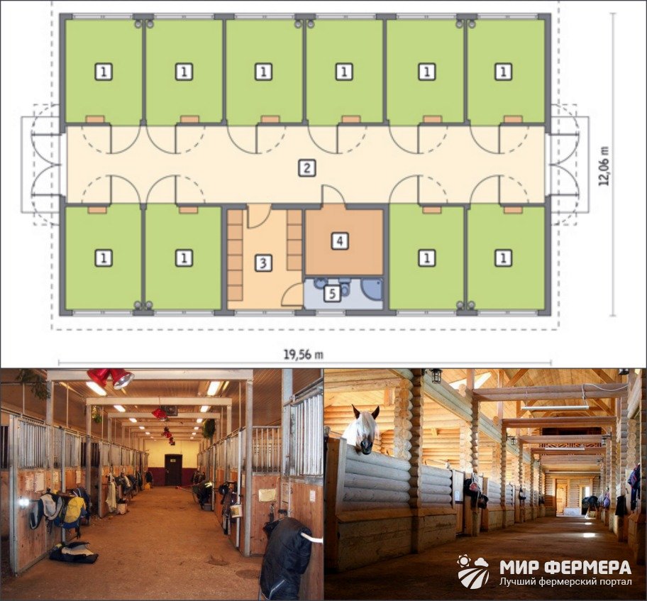 Типовой проект конюшни на 20 голов