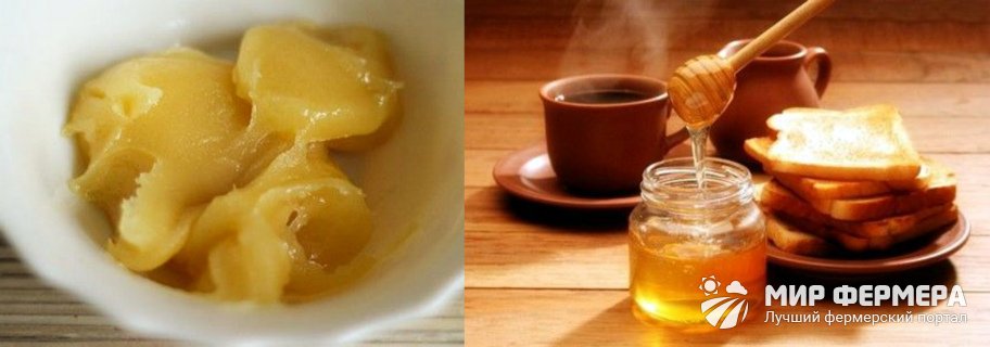 Как растопить мед в духовке