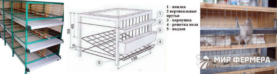 Клетки для бройлеров своими руками из кровати