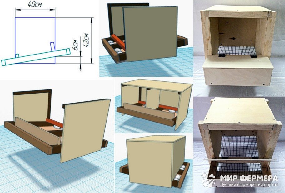 Сделать гнезда для кур несушек своими руками с яйцесборником чертежи