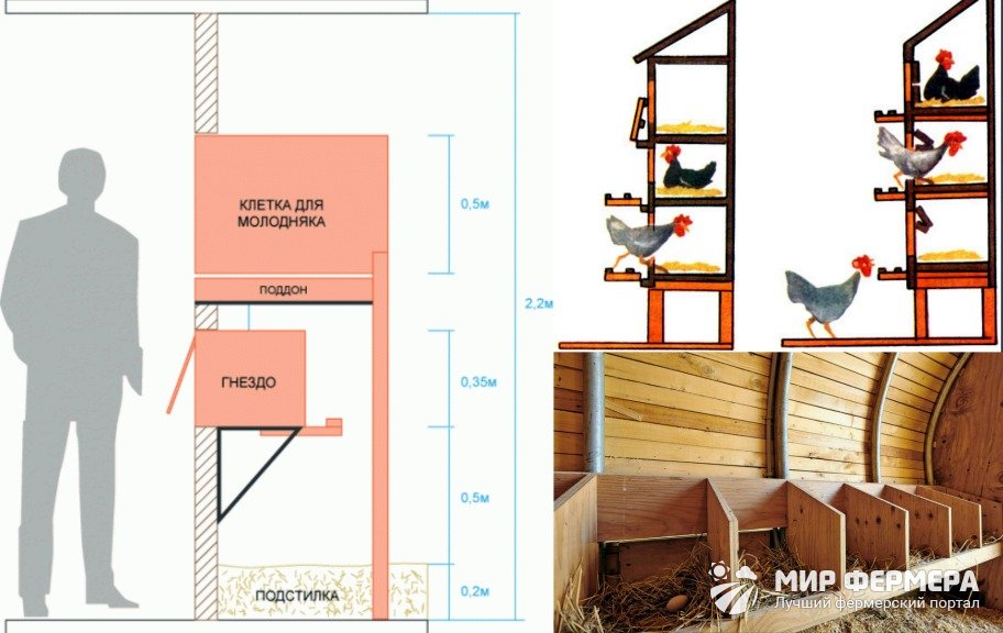 Гнезда для кур несушек размеры своими руками фото чертежи и фото