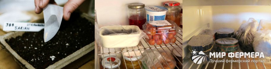 Стратификация в холодильнике