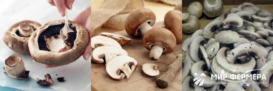 Как приготовить грибы