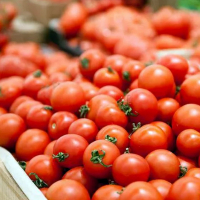 Запланирован пересмотр квоты на экспорт турецких томатов
