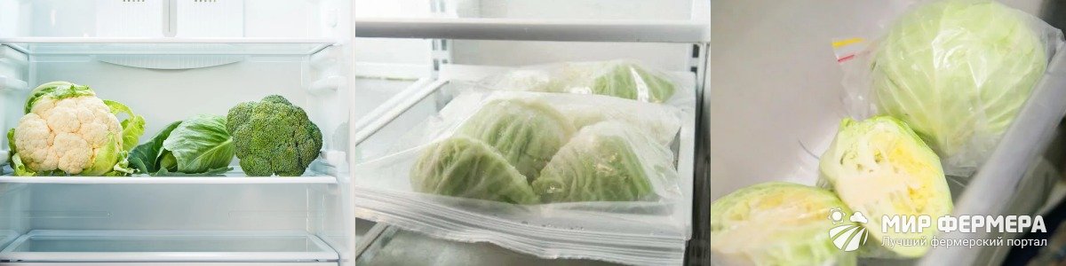 Хранение капусты в холодильнике